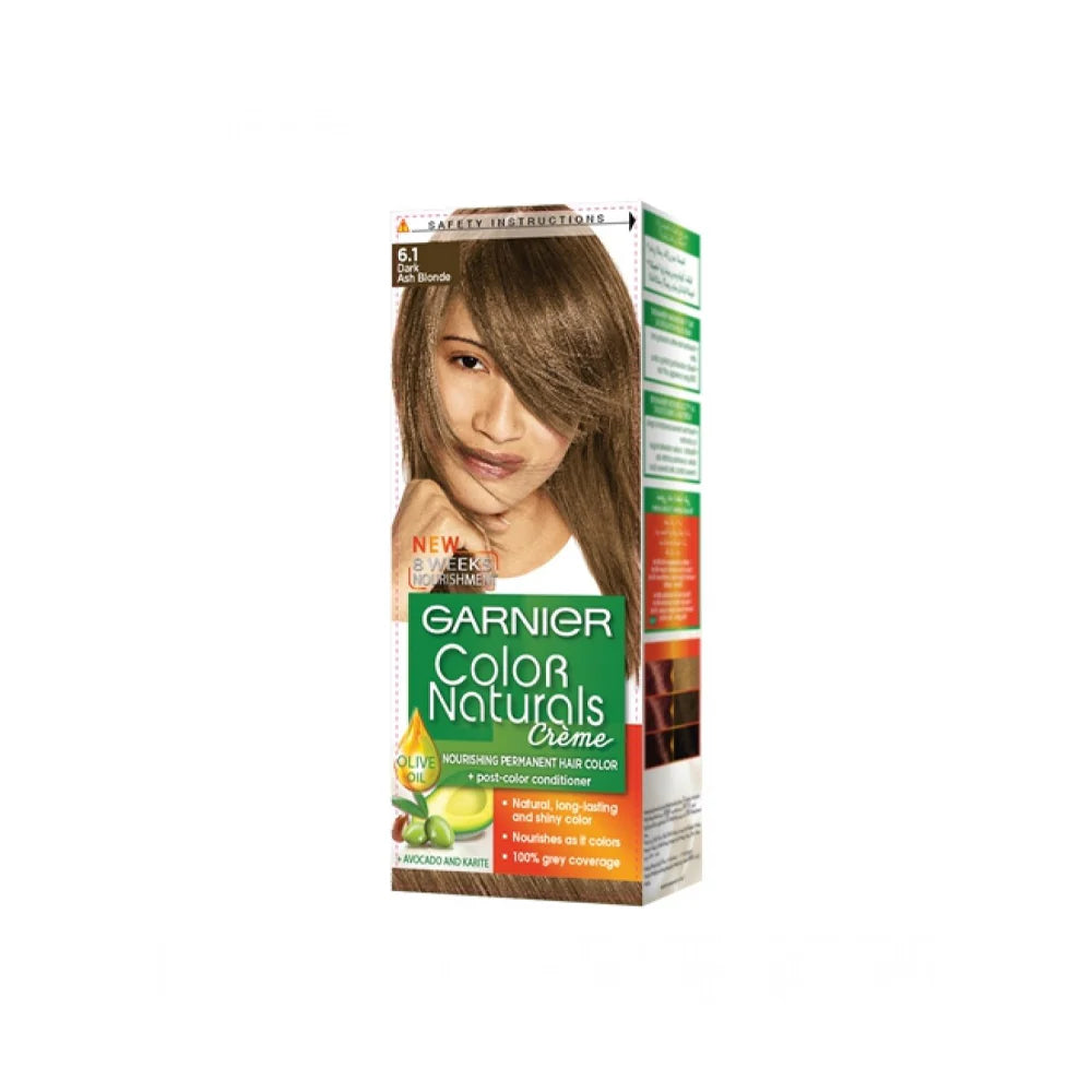 Garnier Hair Color N-6.1