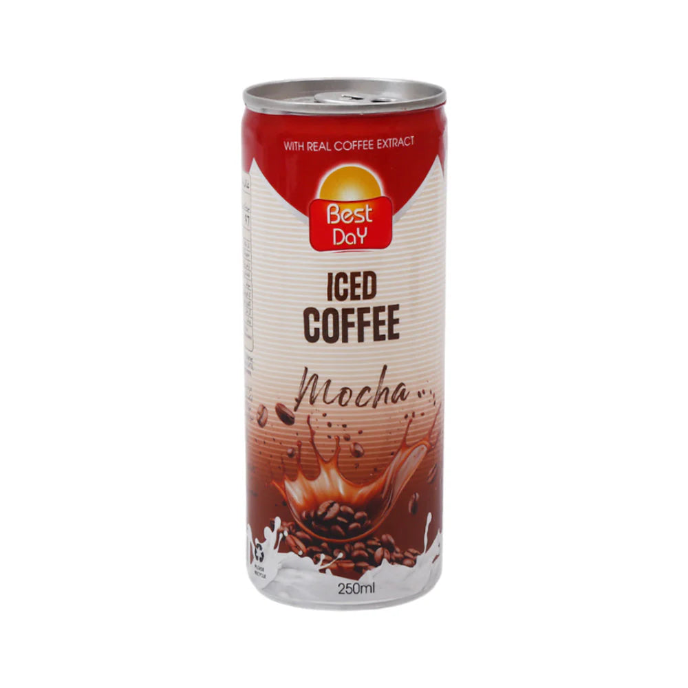 Best Day Frappe Mocha -280ml