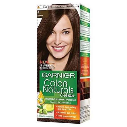 Garnier Hair Color N-4